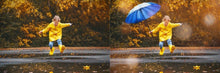 Load image into Gallery viewer, 1200+ Wonderful Autumn Overlays Bundle