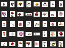 Load image into Gallery viewer, 1200+ Wonderful Autumn Overlays Bundle