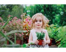 Load image into Gallery viewer, Adjust colors lightroom presets