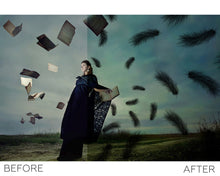 Load image into Gallery viewer, Dark Feathers Overlays