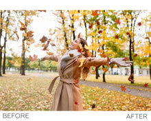 Load image into Gallery viewer, Leaves Overlays