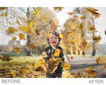 Load image into Gallery viewer, Leaves Overlays