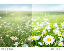 Load image into Gallery viewer, Nature lightroom presets
