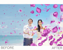 Load image into Gallery viewer, Petals Overlays