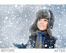 Load image into Gallery viewer, Snow Overlays