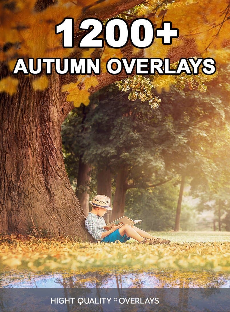 1200+ Wonderful Autumn Overlays Bundle