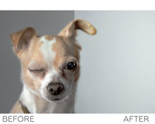 Load image into Gallery viewer, Animals Photoshop Actions
