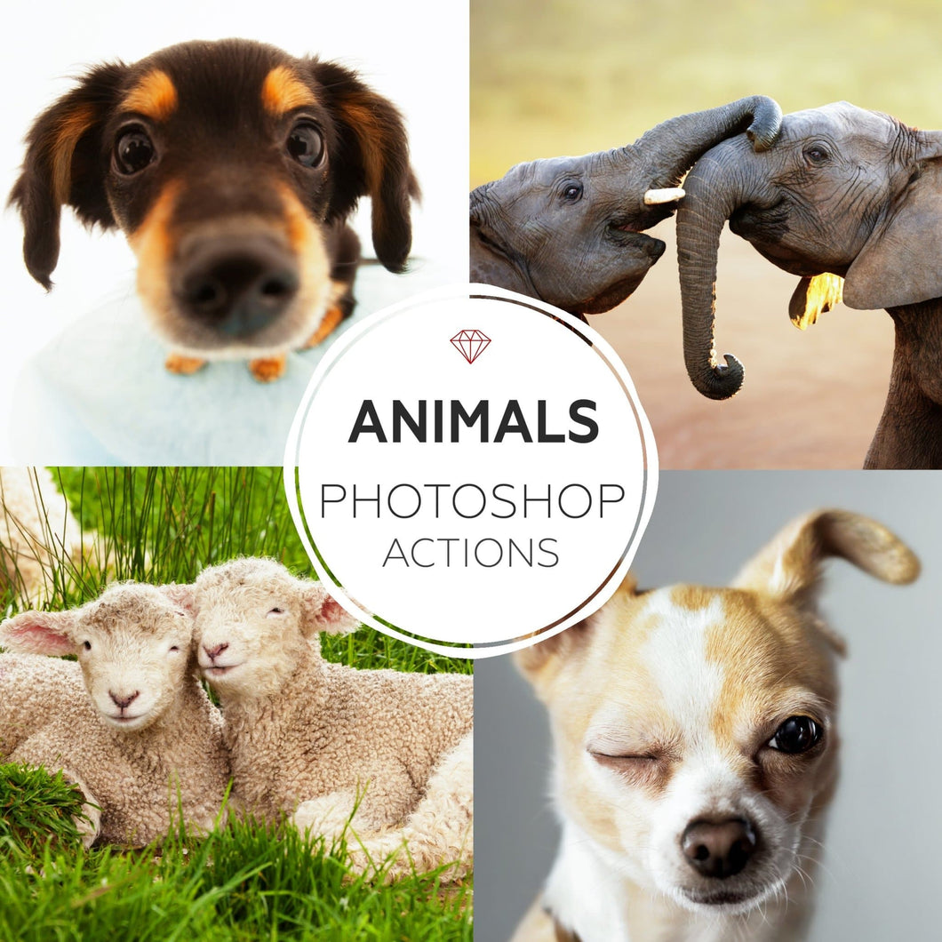 Animals Photoshop Actions