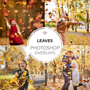 Leaves Overlays