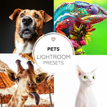 Load image into Gallery viewer, Pets Lightroom presets collection
